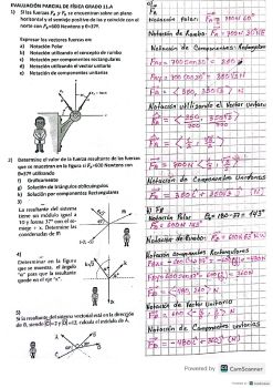 Solución primera evaluación grado11