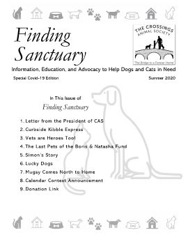 Finding Sanctuary_August 2020