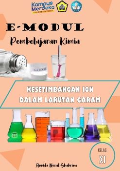 E-module_Representasi Kimia_Kesetimbangan ion dalam larutan garam_Neat