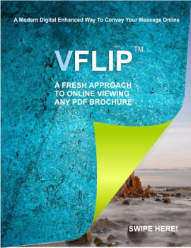 VFLIP BOOK 2021