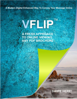 VFLIP WEB BOOK