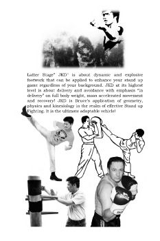 Latter Stage Jeet Kune Do for Beginners