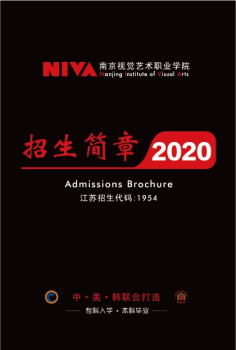 南京视觉艺术职业学院2020年招生简章