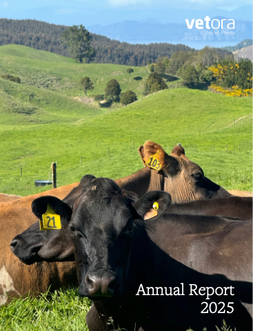 Vetora BOP Annual Report 2025