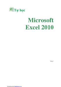 Microshoft Excel 2010