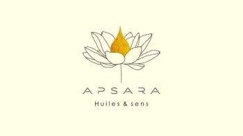 APSARA Temporary Catalog