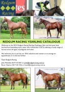 Redgum Racing 2016 Catalogue