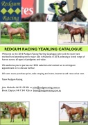 Redgum Racing 2016 Catalogue