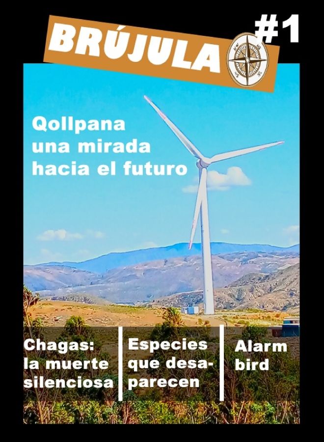 Brújula