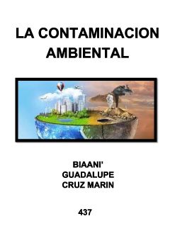 LA CONTAMINACION AMBIENTAL