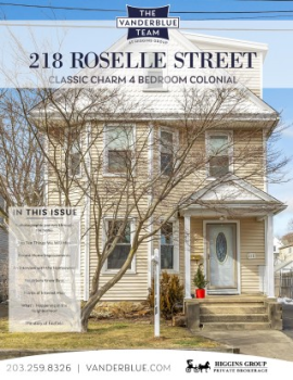 218 Roselle Street LONG BROCHURE 2024