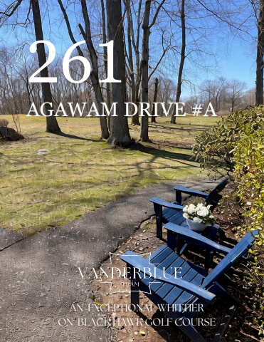 261 Agawam dr brochure