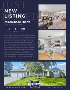 205 Goldbach Drive Flyer