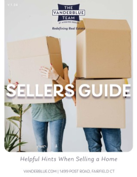 The Vanderblue Team's Sellers Guide 2024