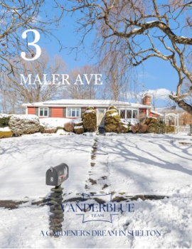 3 Maler Ave- Brochure