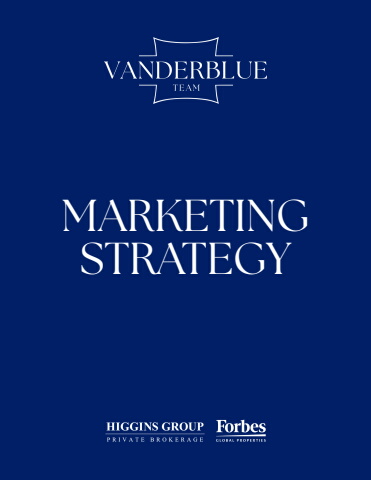 Vanderblue Team Marketing Strategy