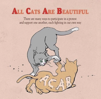 IPRC Zine Library | All Cats Are Beautiful 