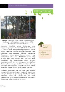 KOmponen-komponen ekosistem