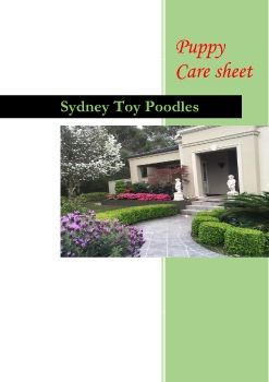 care sheet