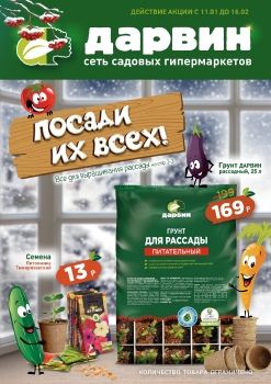 Акции Январь
