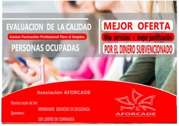 calidad formacion ocupados 2019