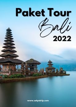 PAKET TOUR BALI