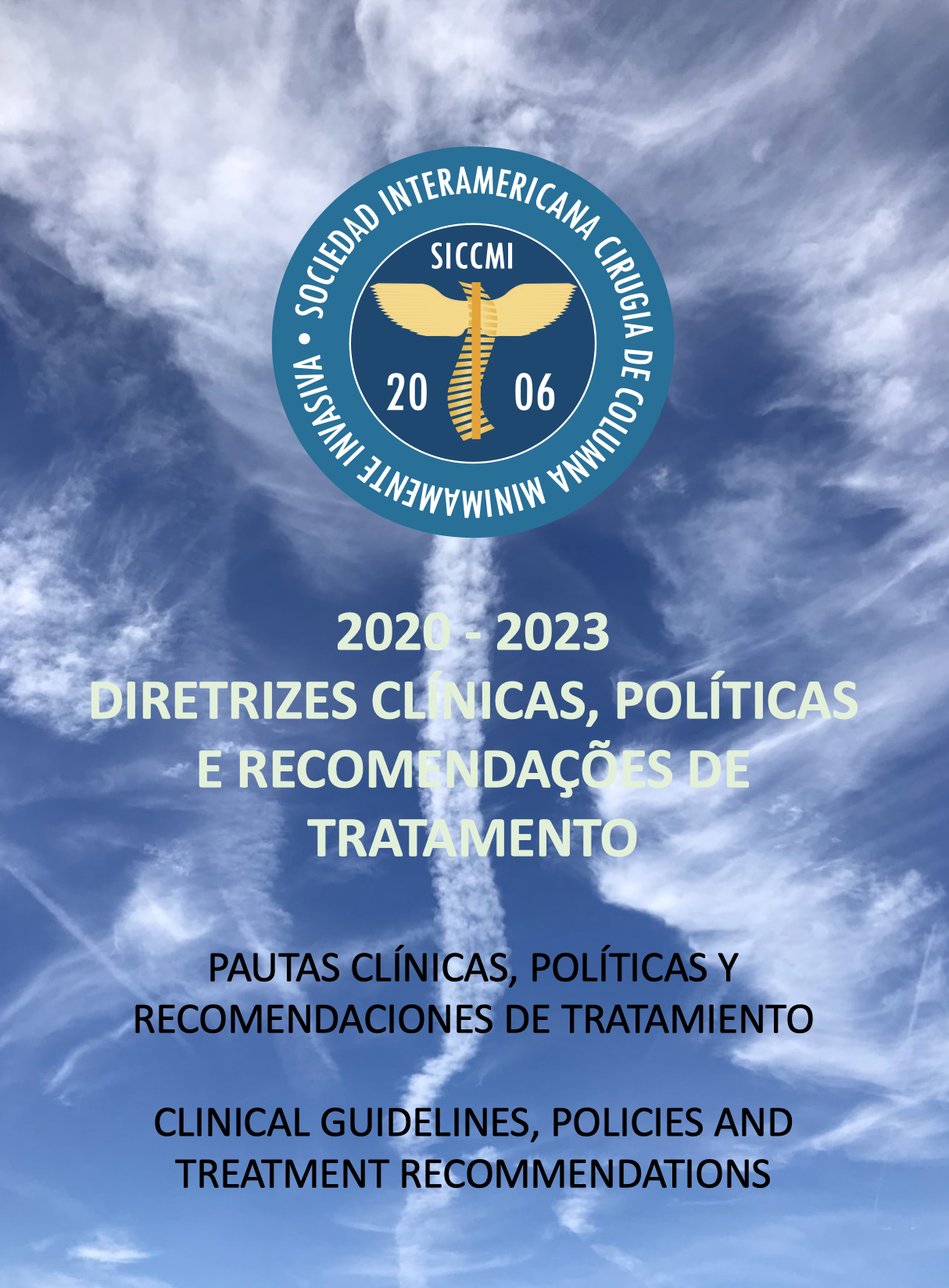 SICCMI 2023 Flip Book