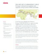Ciena SEA-ME-WE 4 Submarine Cable Case Study