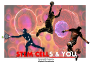 reallife-realcures-stemcell