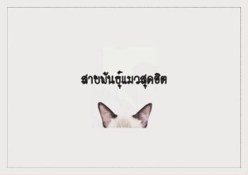 เเมวฮิต