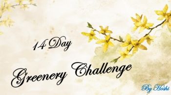 14 Day Greenery Challenge โฮชิ-22 ป.6-3