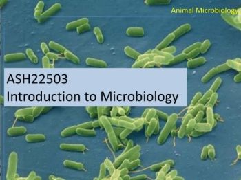 Introduction to Microbiology