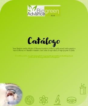 Catálogo