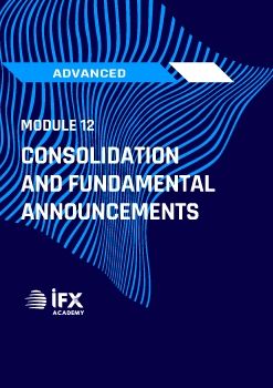 Module 12 Consolidation