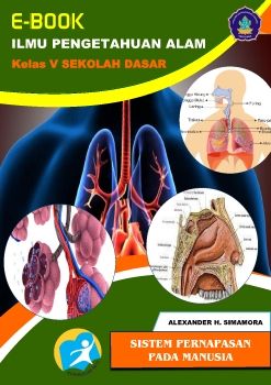 SISTEM PERNAPASAN MANUSIA