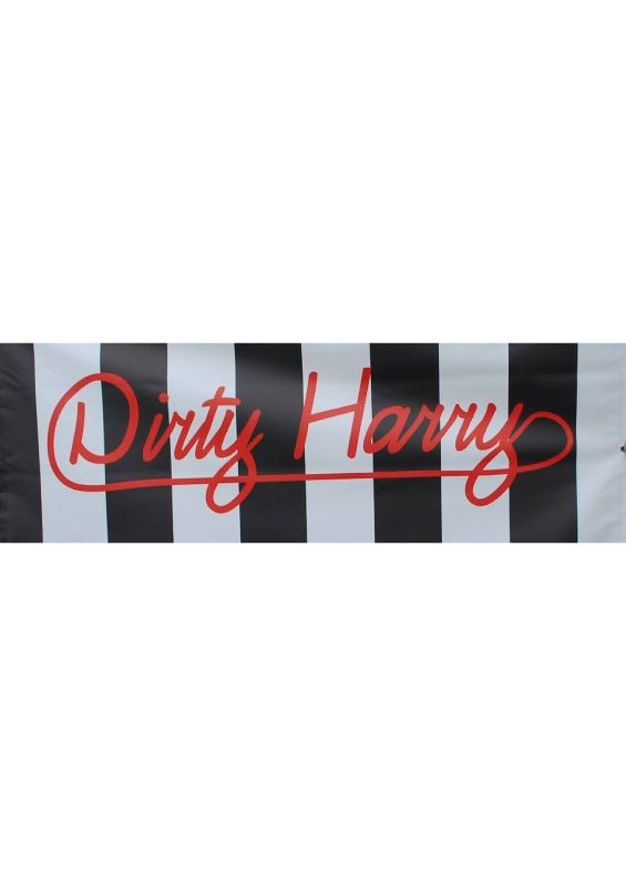 DIRTY HARRY - BLONDIE TRIBUTE BAND PHOTOS