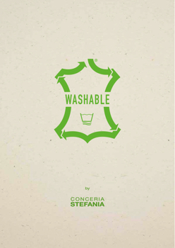 Washable Website 2