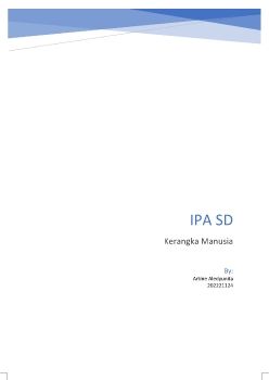 IPA SD_Artine Ay