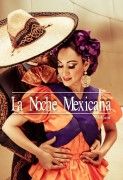 Lookbook_lanochemexicana.indd