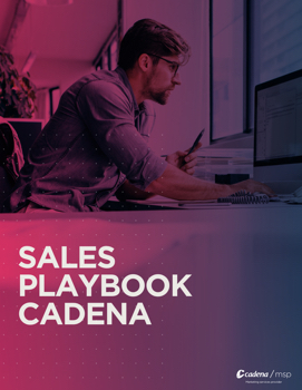 Manual sales playbook