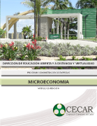 MICROECONOMIA