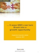 SME's can turn Brexit into a growth opportunity