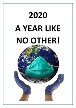 2020 a year like no other book