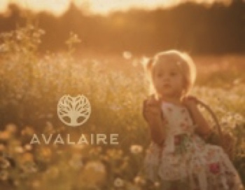 Avalaire Brochure