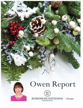 Owen Report November 2020