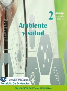 Ambiente y salud-2do portafolio de evidencias-ciclo avanzado