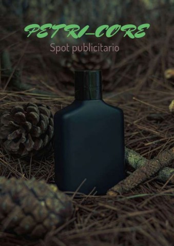 Petricore