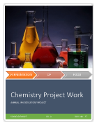 Microsoft Word - chemistry project work.docx