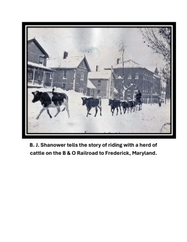 QR Test Page