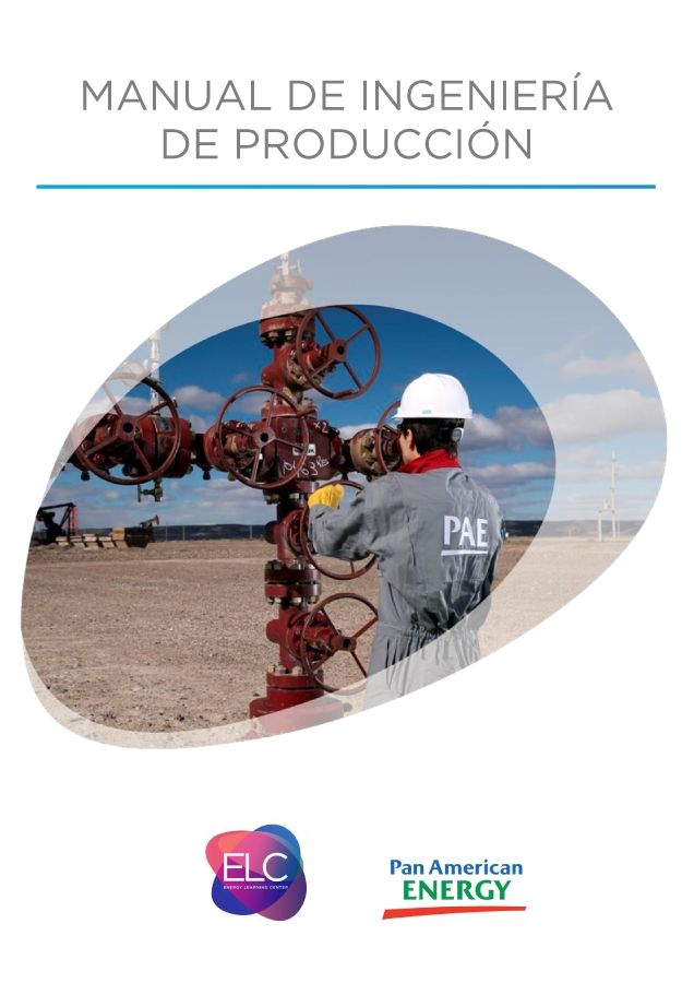 Manual de Ingeniería de Producción - PAE